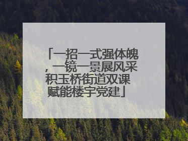 一招一式强体魄，一镜一景展风采 积玉桥街道双课赋能楼宇党建