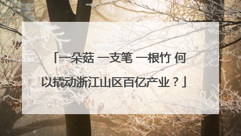 一朵菇 一支笔 一根竹 何以撬动浙江山区百亿产业？