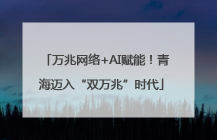 万兆网络+AI赋能！青海迈入“双万兆”时代