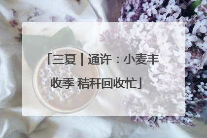 三夏｜通许：小麦丰收季 秸秆回收忙