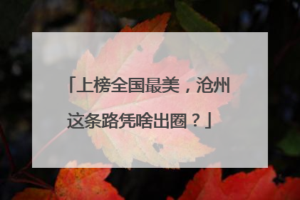 上榜全国最美，沧州这条路凭啥出圈？
