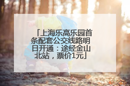 上海乐高乐园首条配套公交线路明日开通：途经金山北站，票价1元