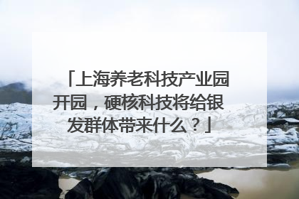上海养老科技产业园开园，硬核科技将给银发群体带来什么？