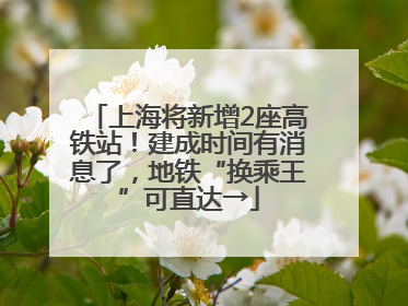 上海将新增2座高铁站！建成时间有消息了，地铁“换乘王”可直达→