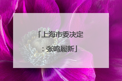 上海市委决定：张鸣履新