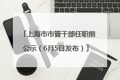 上海市市管干部任职前公示（6月5日发布）