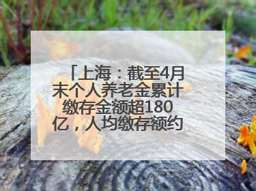 上海：截至4月末个人养老金累计缴存金额超180亿，人均缴存额约1万居全国第一