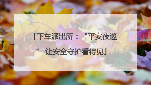 下车派出所：“平安夜巡” 让安全守护看得见