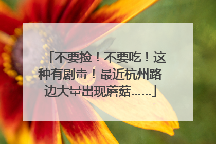 不要捡！不要吃！这种有剧毒！最近杭州路边大量出现蘑菇……