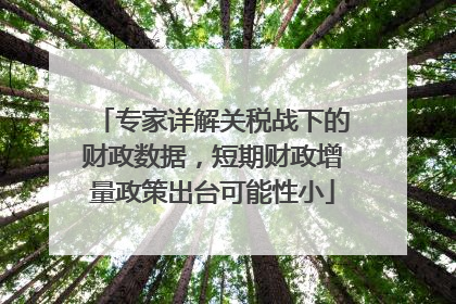 专家详解关税战下的财政数据，短期财政增量政策出台可能性小