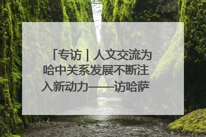 专访｜人文交流为哈中关系发展不断注入新动力——访哈萨克斯坦文化与信息部部长巴拉耶娃