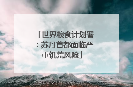 世界粮食计划署：苏丹首都面临严重饥荒风险