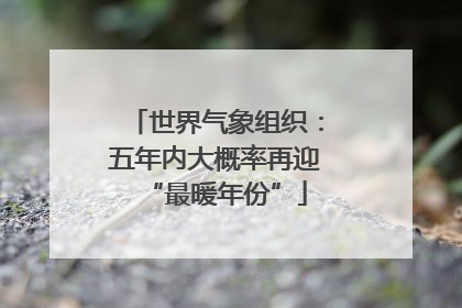 世界气象组织：五年内大概率再迎“最暖年份”