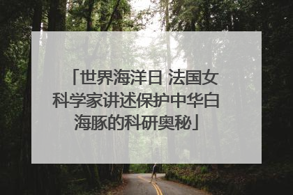 世界海洋日 法国女科学家讲述保护中华白海豚的科研奥秘