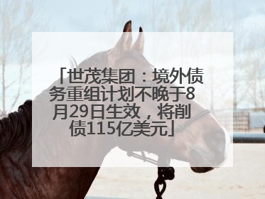 世茂集团：境外债务重组计划不晚于8月29日生效，将削债115亿美元