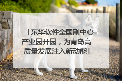 东华软件全国副中心产业园开园，为青岛高质量发展注入新动能