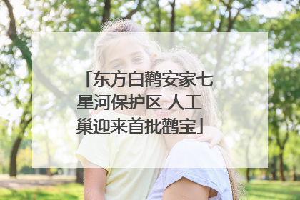 东方白鹳安家七星河保护区 人工巢迎来首批鹳宝