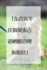 东营区牛庄镇探索占道晒粮治理新路径