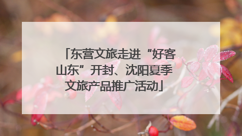 东营文旅走进“好客山东”开封、沈阳夏季文旅产品推广活动