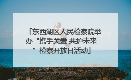 东西湖区人民检察院举办“携手关爱 共护未来”检察开放日活动