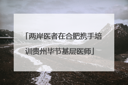 两岸医者在合肥携手培训贵州毕节基层医师