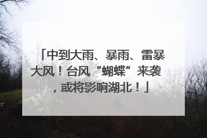 中到大雨、暴雨、雷暴大风！台风“蝴蝶”来袭，或将影响湖北！
