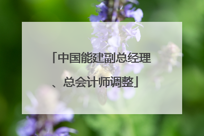 中国能建副总经理、总会计师调整