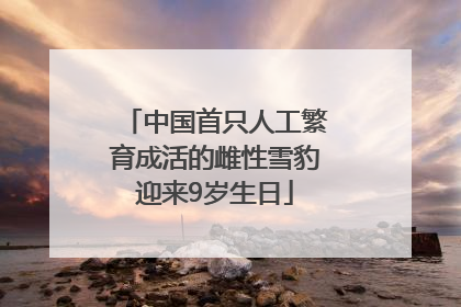 中国首只人工繁育成活的雌性雪豹迎来9岁生日