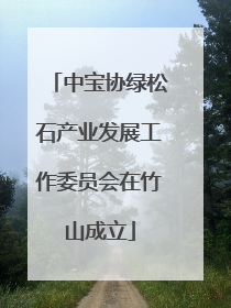 中宝协绿松石产业发展工作委员会在竹山成立