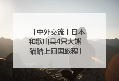 中外交流丨日本和歌山县4只大熊猫踏上回国旅程