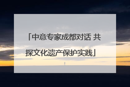 中意专家成都对话 共探文化遗产保护实践