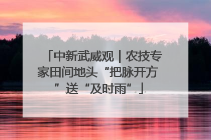 中新武威观｜农技专家田间地头“把脉开方”送“及时雨”