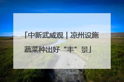 中新武威观｜凉州设施蔬菜种出好“丰”景