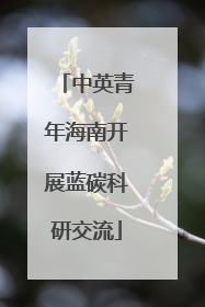 中英青年海南开展蓝碳科研交流