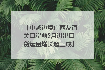 中越边境广西友谊关口岸前5月进出口货运量增长超三成
