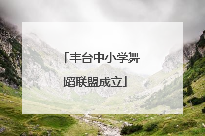 丰台中小学舞蹈联盟成立