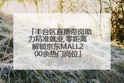 丰台区直播带岗助力精准就业 零距离解锁京东MALL200余热门岗位