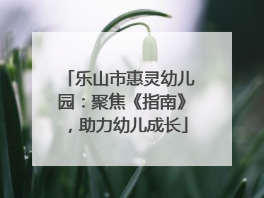 乐山市惠灵幼儿园：聚焦《指南》，助力幼儿成长