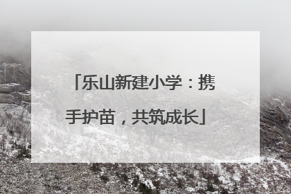 乐山新建小学：携手护苗，共筑成长