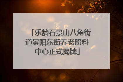 乐龄石景山八角街道景阳东街养老照料中心正式揭牌