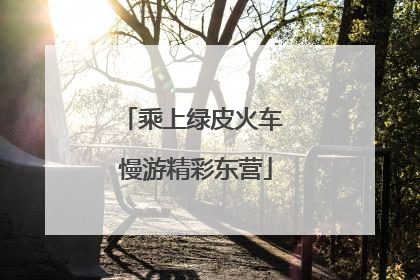 乘上绿皮火车 慢游精彩东营