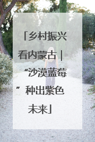 乡村振兴看内蒙古｜“沙漠蓝莓”种出紫色未来