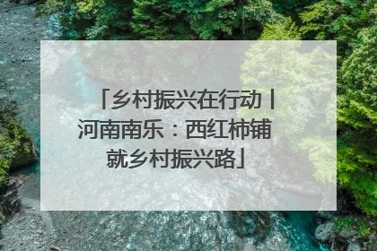 乡村振兴在行动丨河南南乐：西红柿铺就乡村振兴路