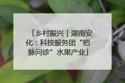 乡村振兴｜湖南安化：科技服务团“把脉问诊”水果产业