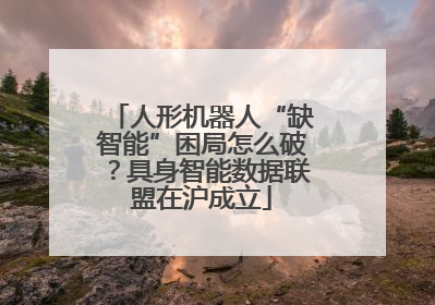 人形机器人“缺智能”困局怎么破？具身智能数据联盟在沪成立
