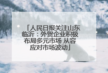 人民日报关注山东临沂：外贸企业积极布局多元市场 从容应对市场波动