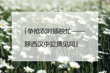 争抢农时插秧忙——陕西汉中夏播见闻