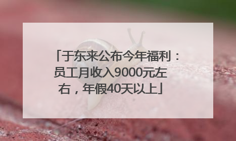 于东来公布今年福利：员工月收入9000元左右，年假40天以上