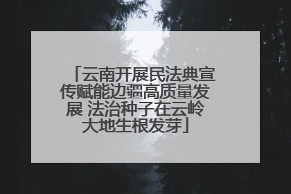 云南开展民法典宣传赋能边疆高质量发展 法治种子在云岭大地生根发芽