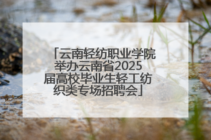 云南轻纺职业学院举办云南省2025届高校毕业生轻工纺织类专场招聘会